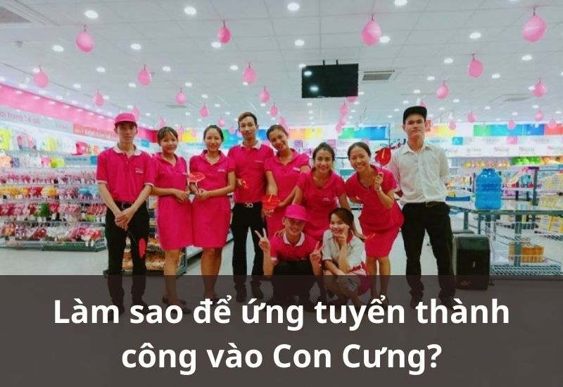 Kinh nghiệm ứng tuyển nhân viên bán hàng Con Cưng