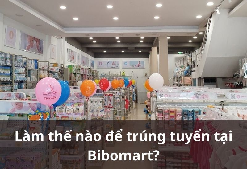 Muốn trúng tuyển nhân viên bán hàng Bibo Mart thì cần làm gì?