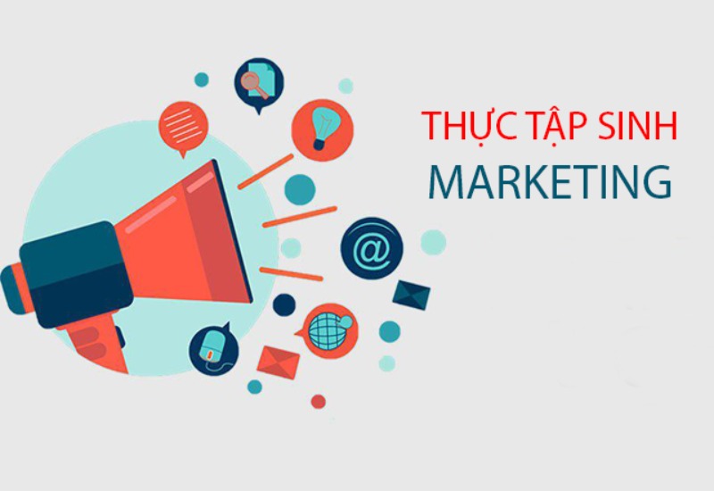 Nhiệm vụ tại vị trí thực tập sinh marketing